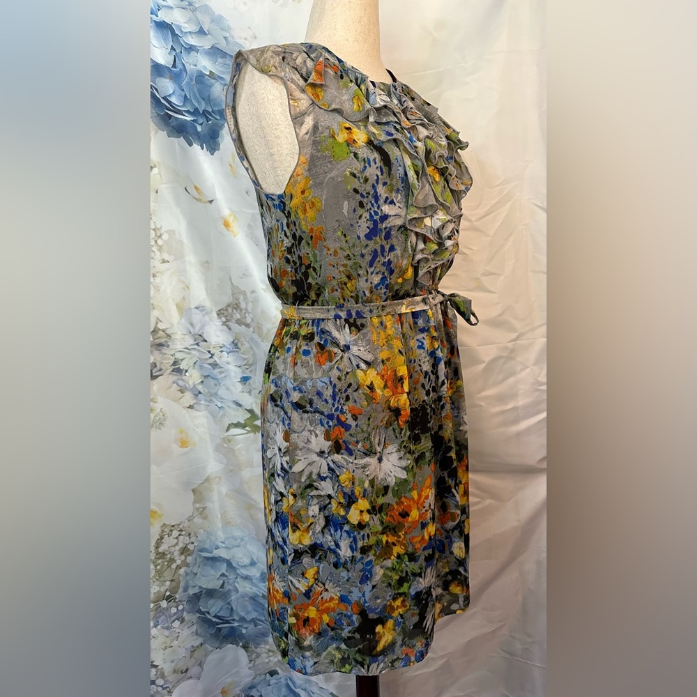 Emma & Michele Floral Midi Dress 8 lined Ruffles Art to wear Garden Tea cottage